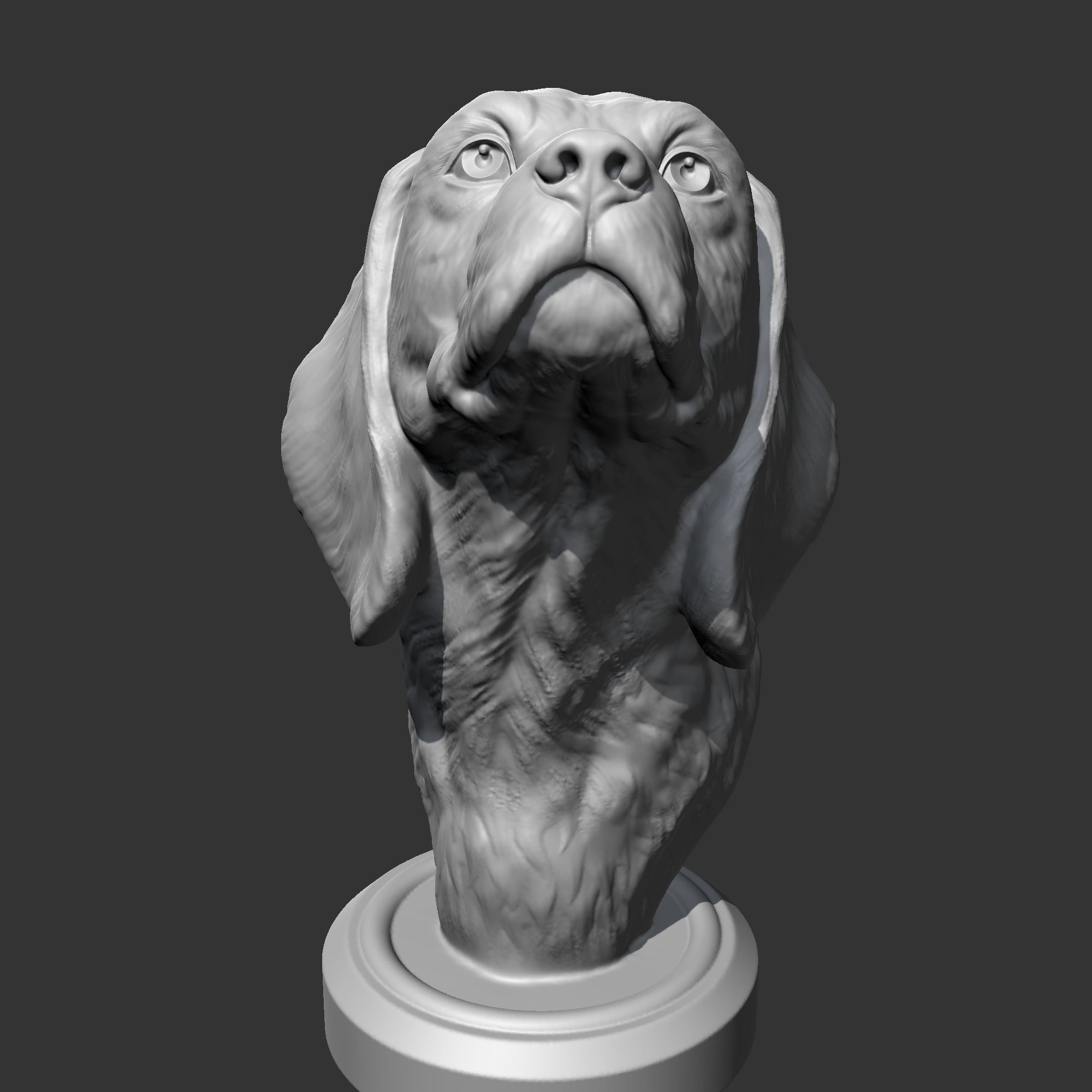 Beagle Head AM04 3D print model 3D print model_2