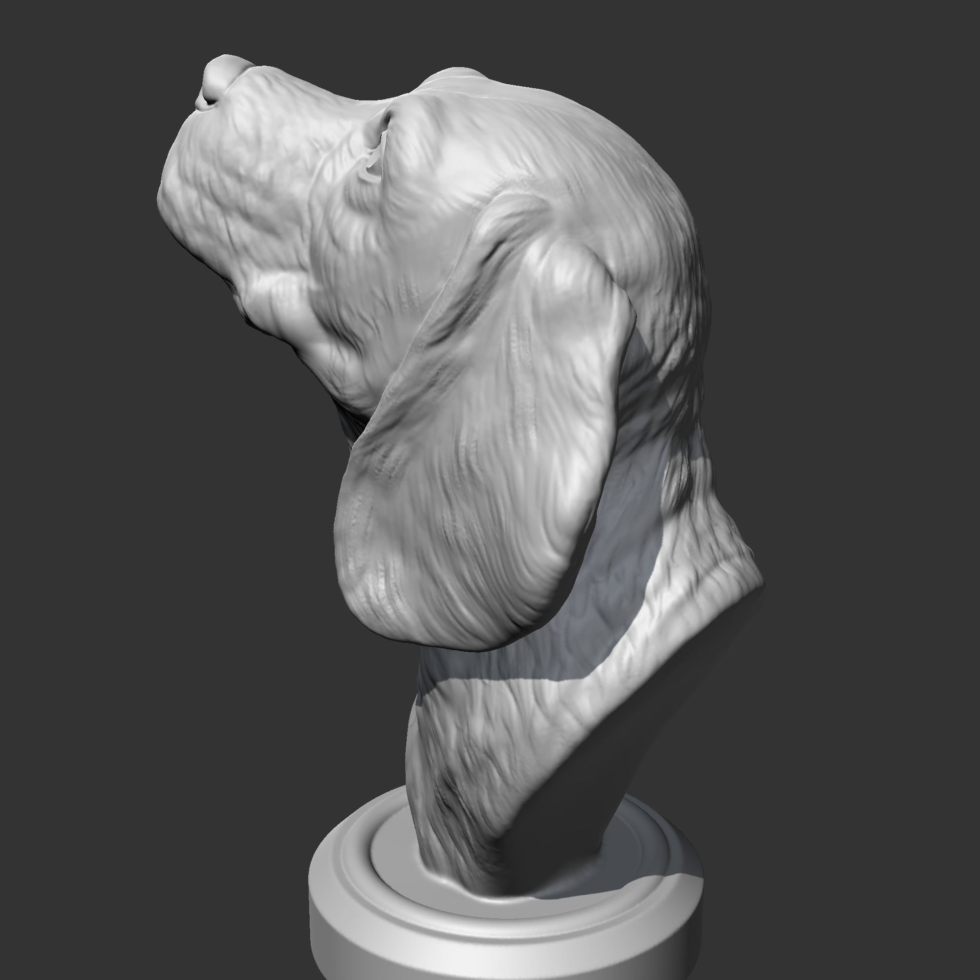 Beagle Head AM04 3D print model 3D print model_6