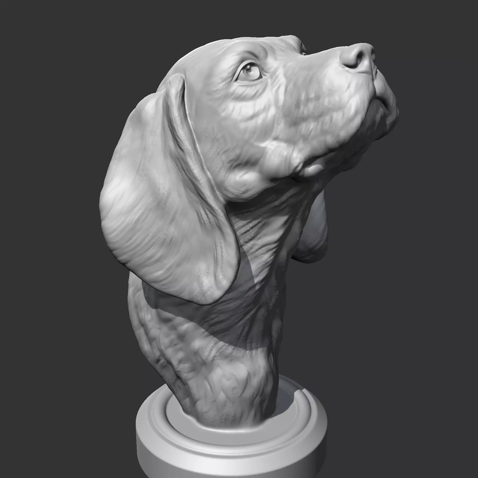 Beagle Head AM04 3D print model 3D print model_0