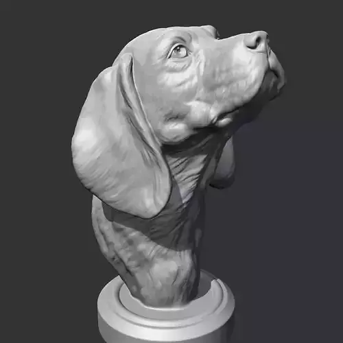 Beagle Head AM04 3D print model 3D print model