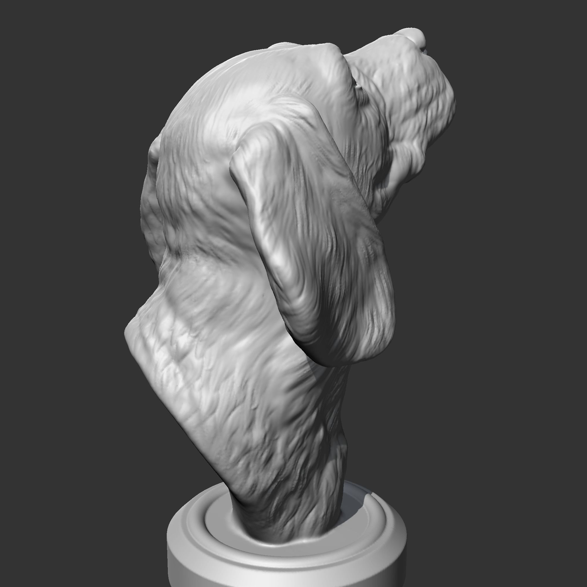 Beagle Head AM04 3D print model 3D print model_8