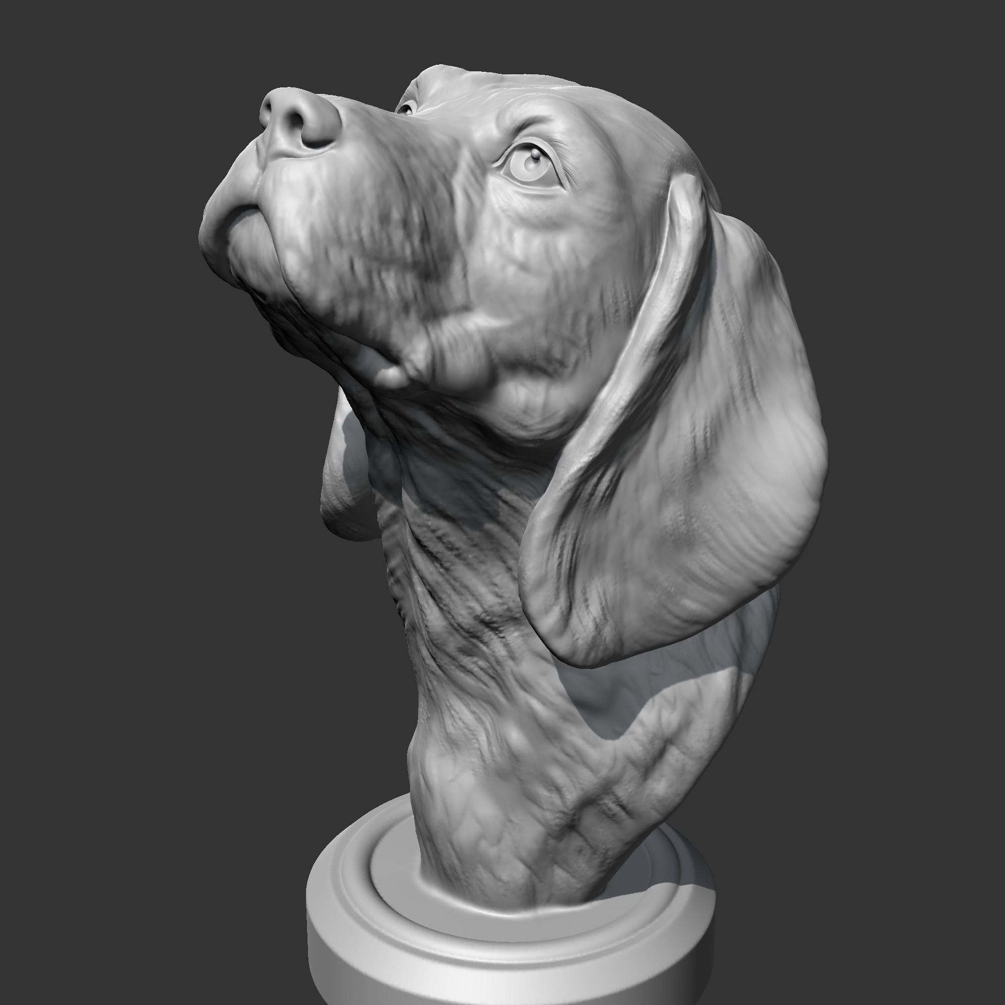 Beagle Head AM04 3D print model 3D print model_4