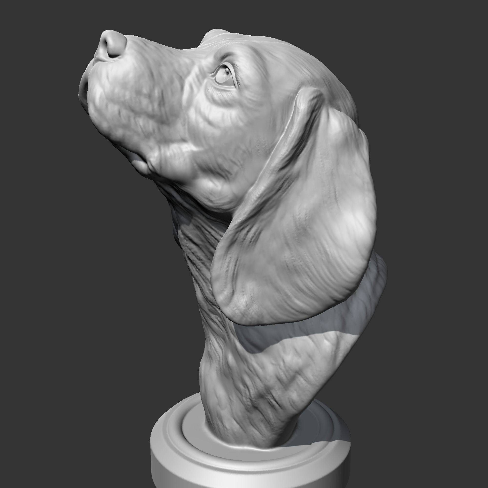 Beagle Head AM04 3D print model 3D print model_5