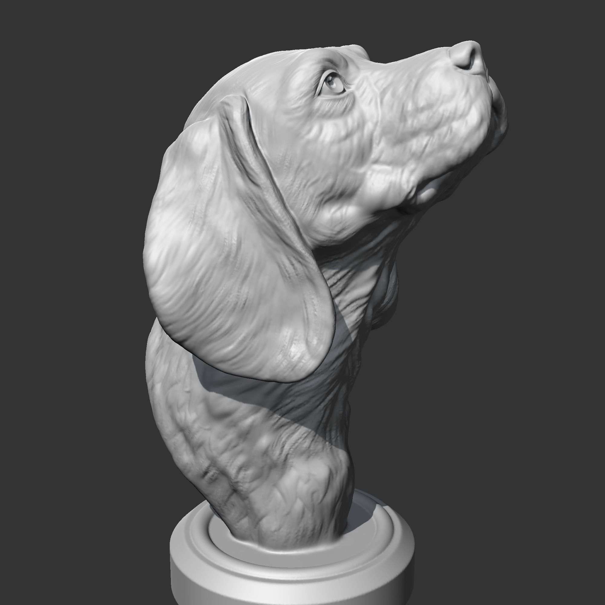 Beagle Head AM04 3D print model 3D print model_9