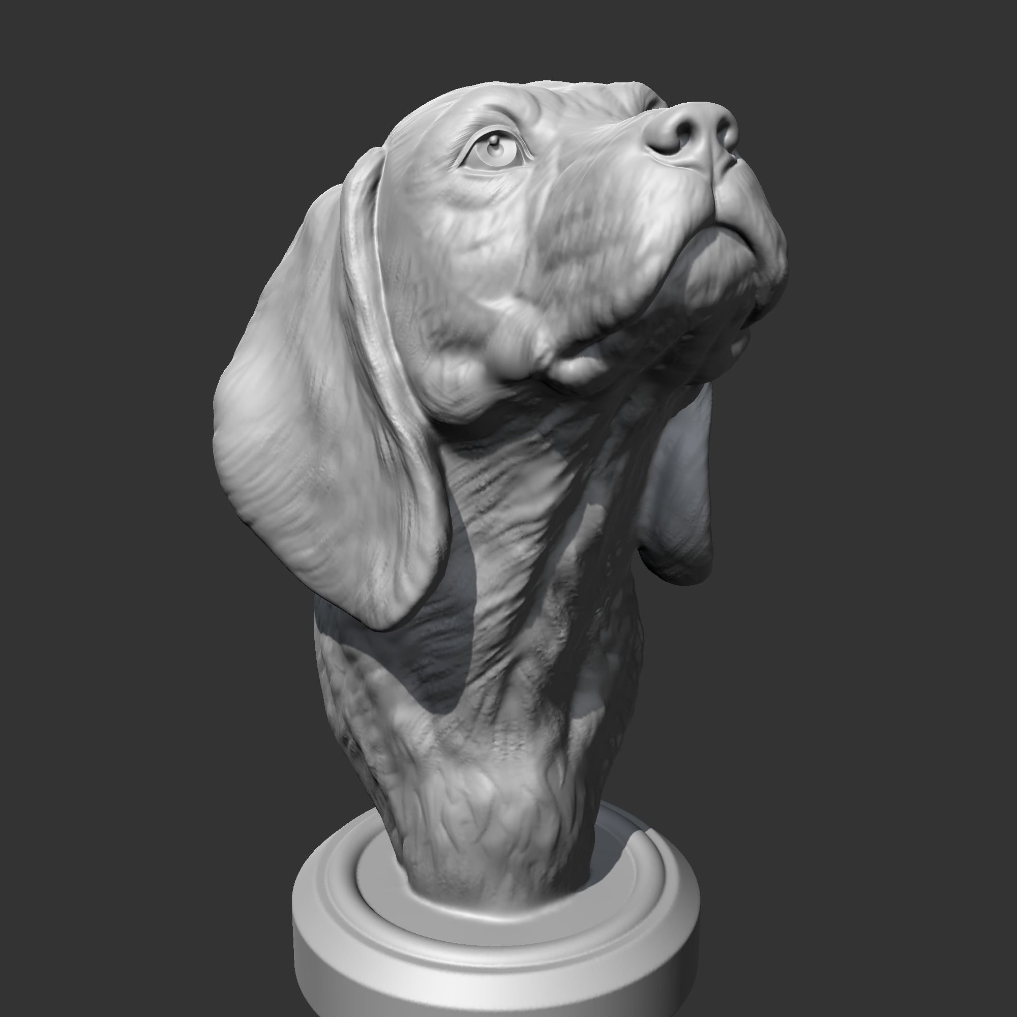 Beagle Head AM04 3D print model 3D print model_1