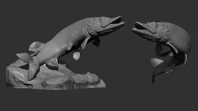 Pike fish 3D print model