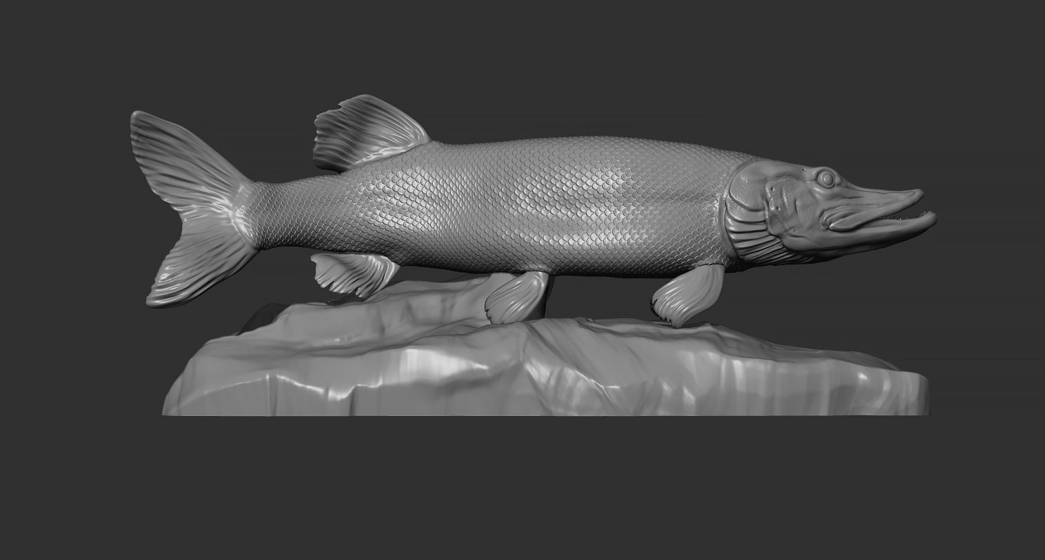Pike fish on the base 3D print model_7