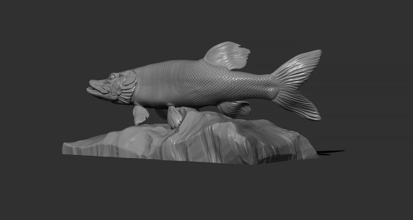 Pike fish on the base 3D print model_10