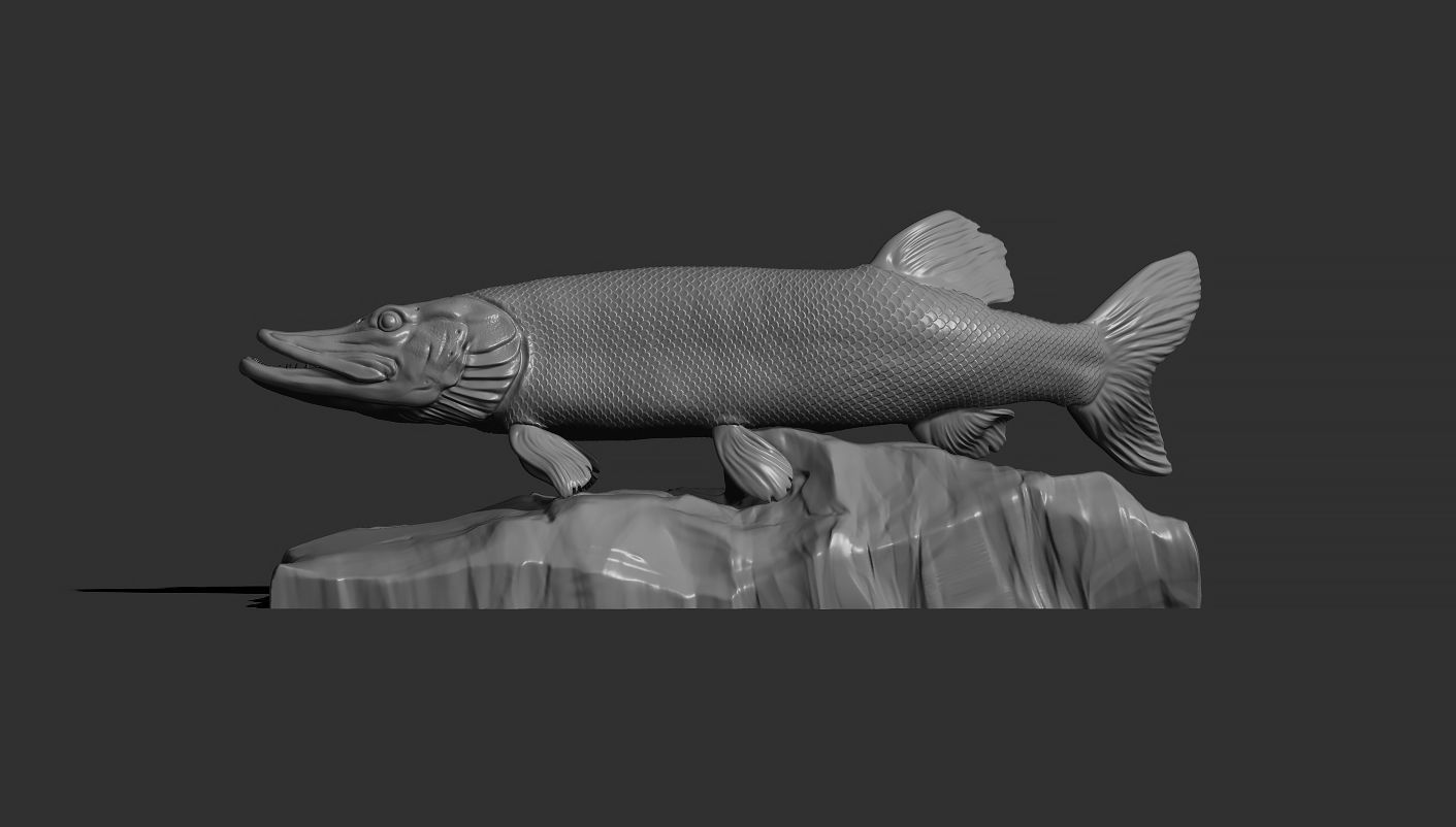 Pike fish on the base 3D print model_8