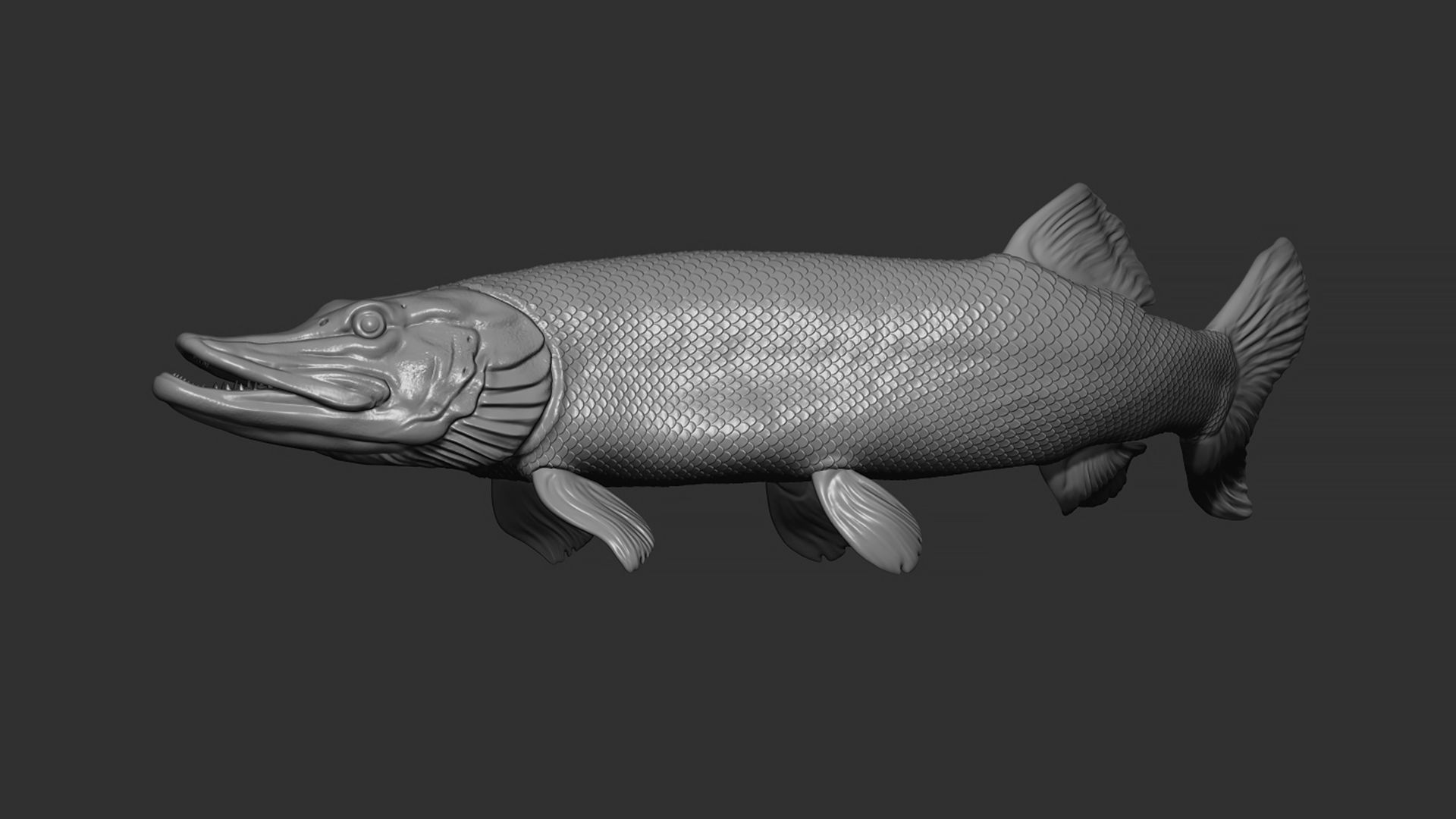 Pike fish on the base 3D print model_12