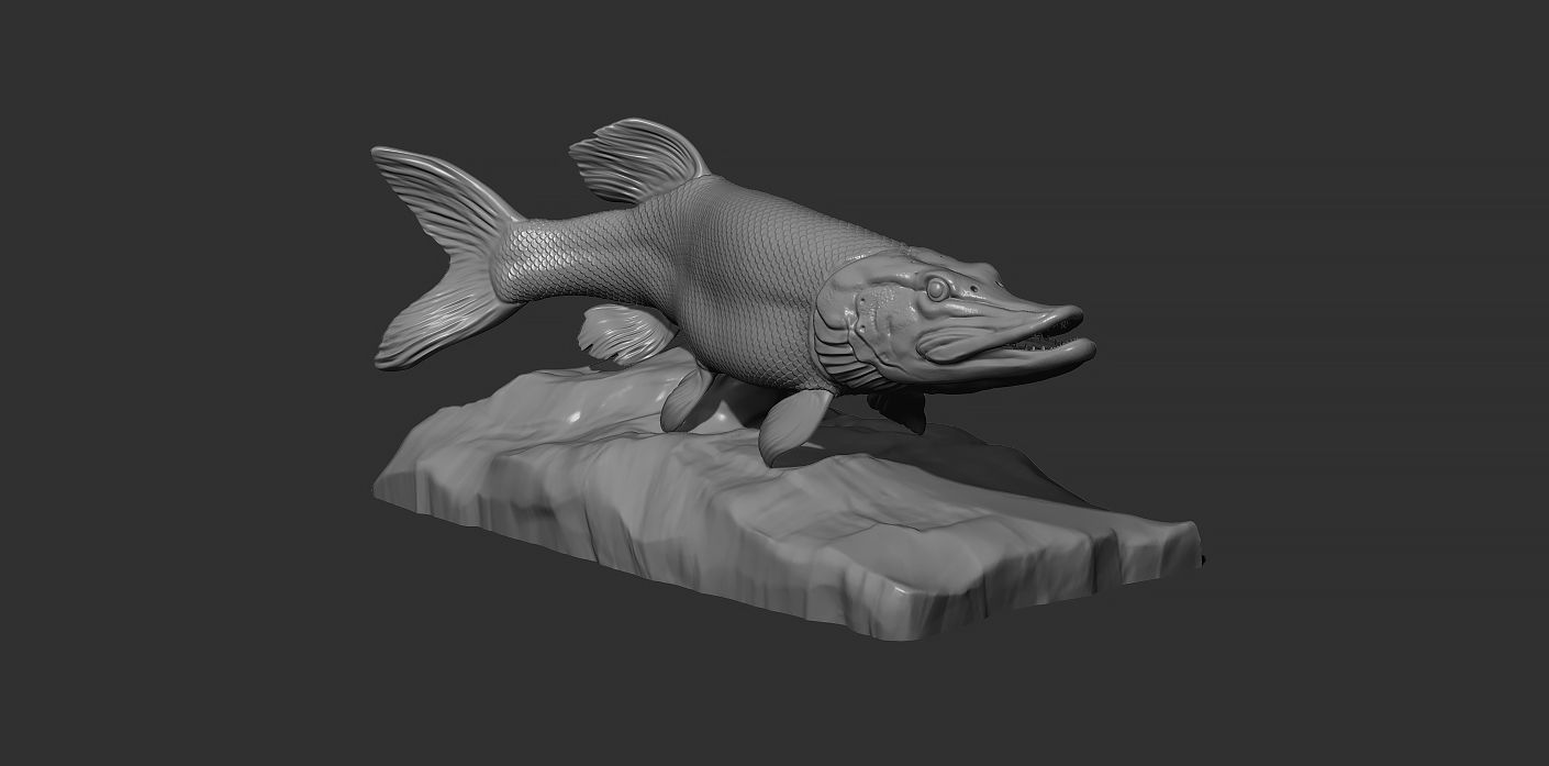 Pike fish on the base 3D print model_9