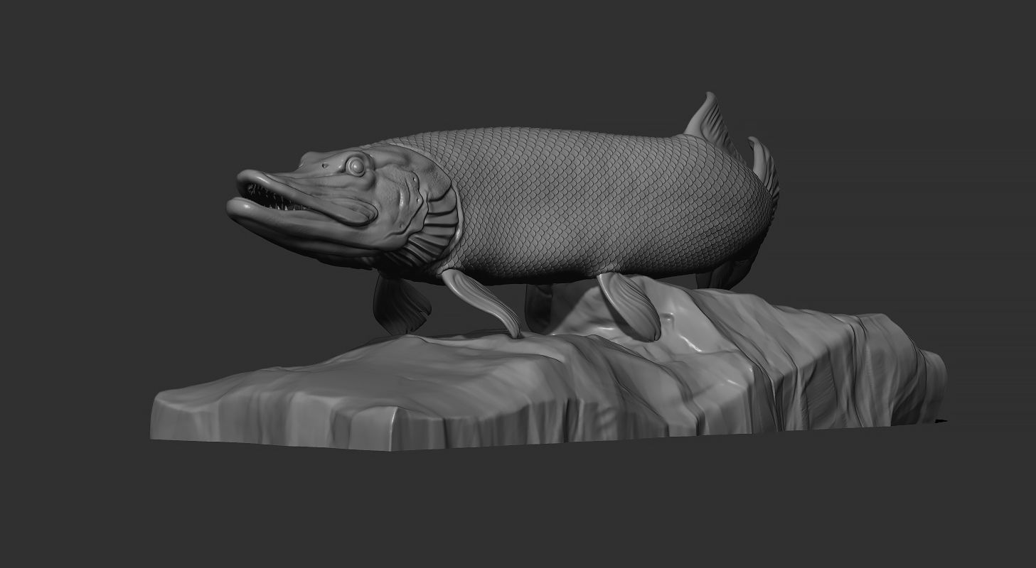 Pike fish on the base 3D print model_3