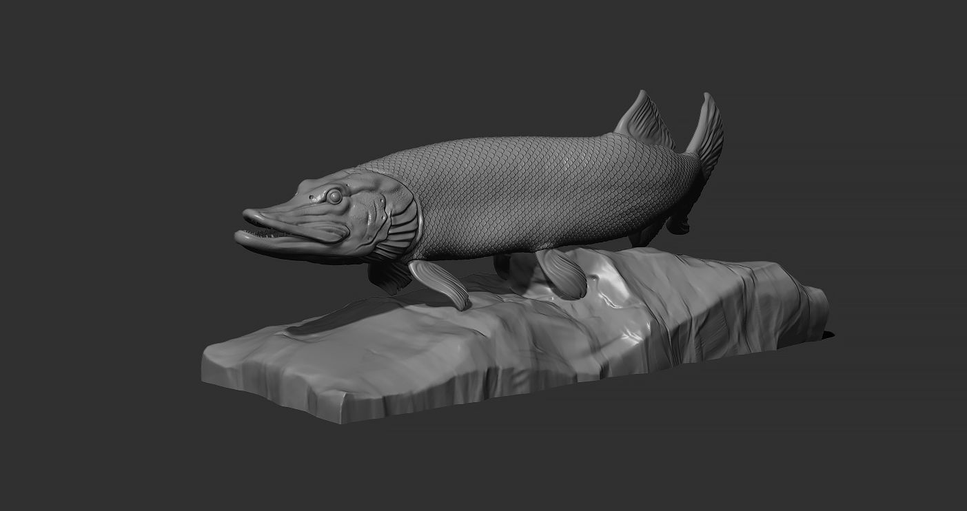 Pike fish on the base 3D print model_4
