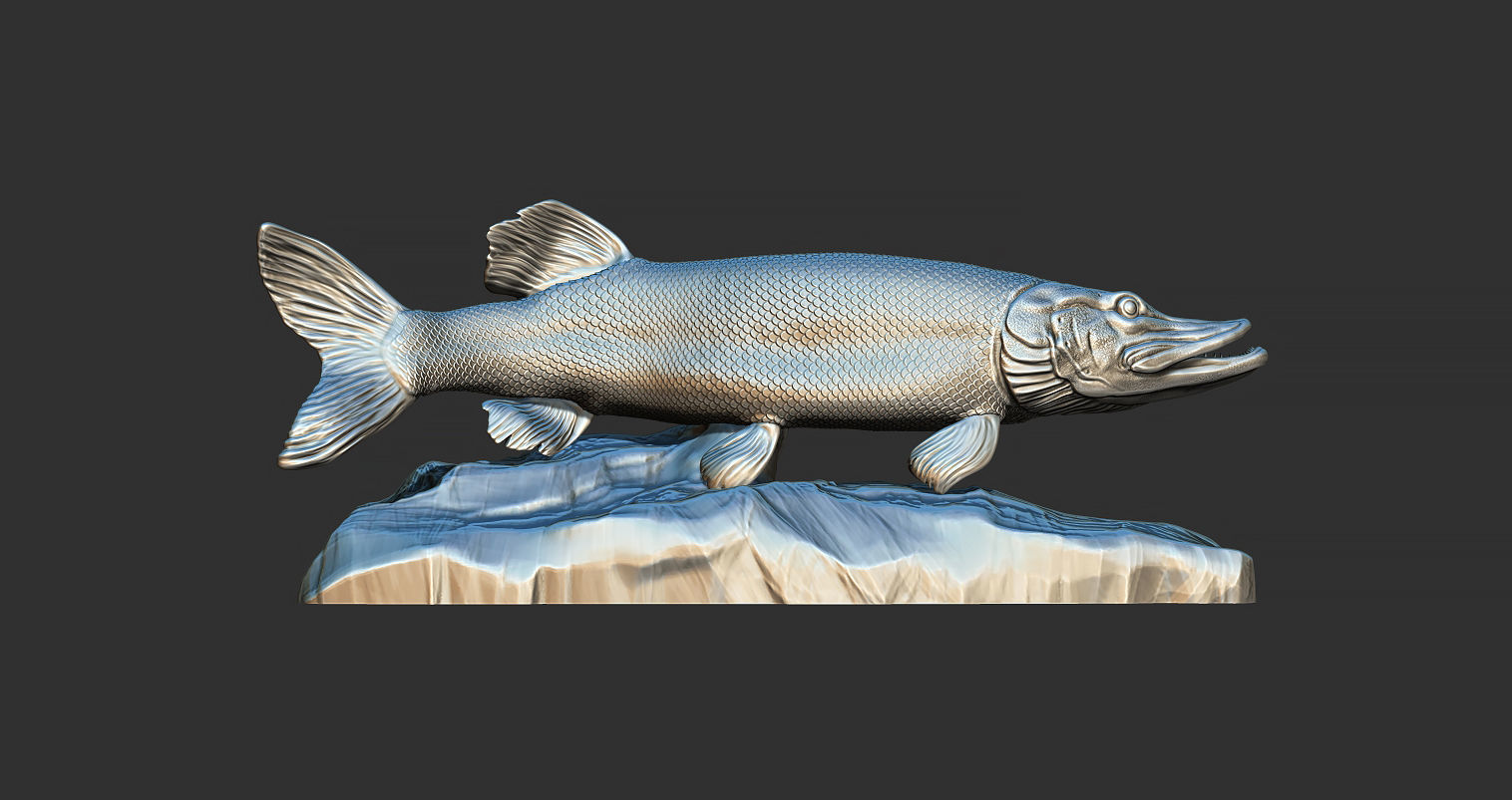 Pike fish on the base 3D print model_2
