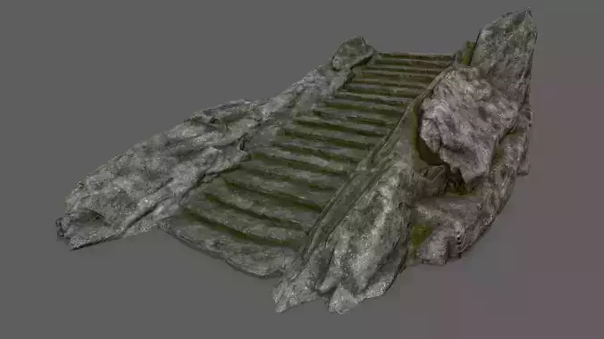 Ladder set of stairs on rock