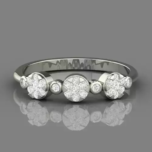 PRESSURE SETTING RING 01 3D print model