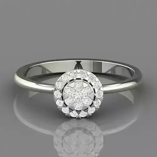 PRESSURE SETTING RING 02 3D print model