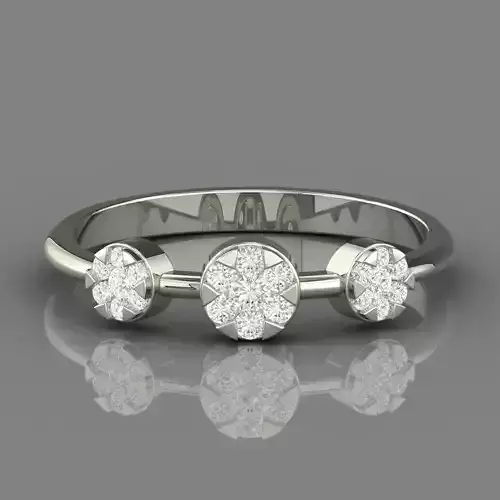 PRESSURE SETTING RING 03 3D print model