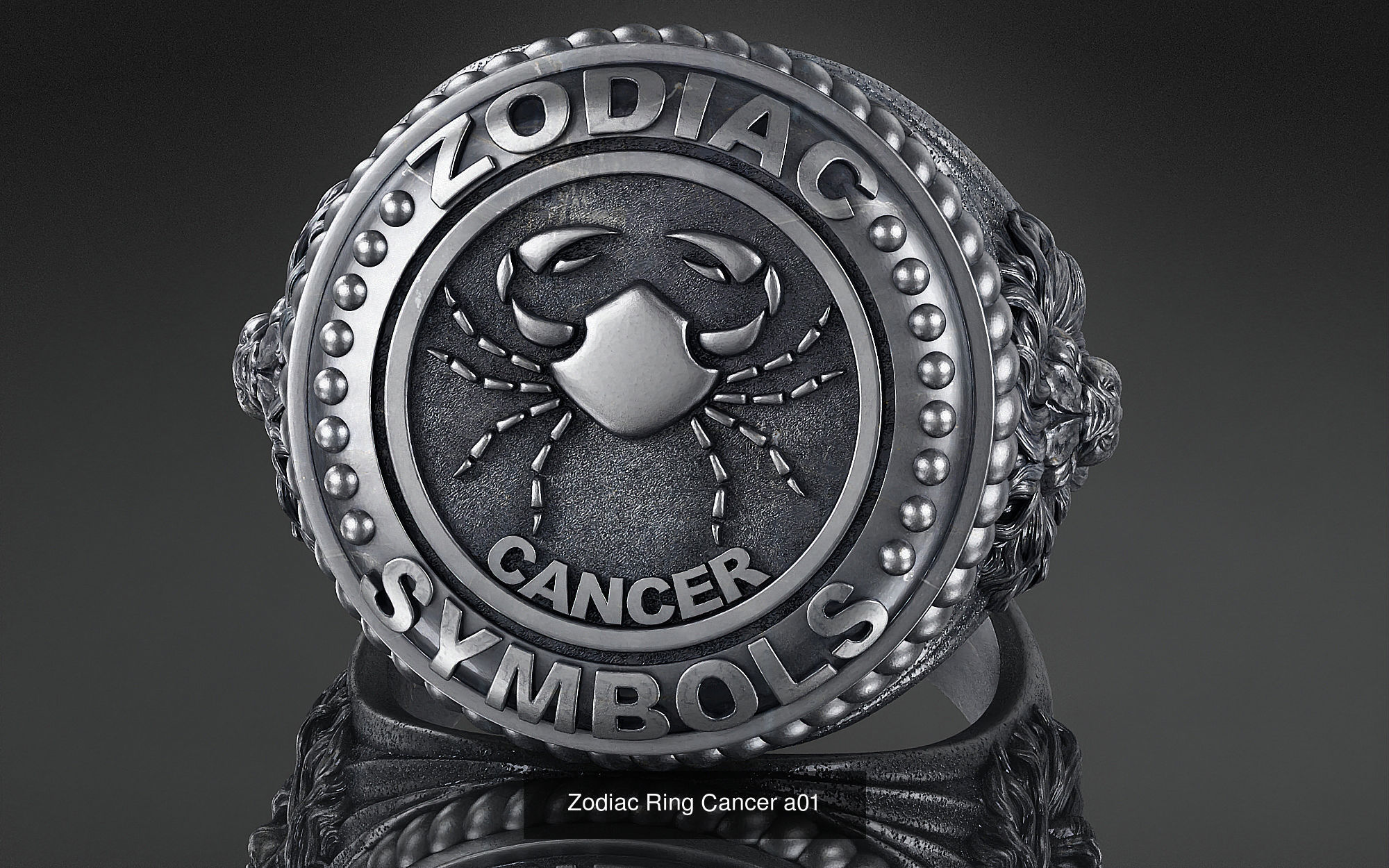 Zodiac Ring collection 12 _9