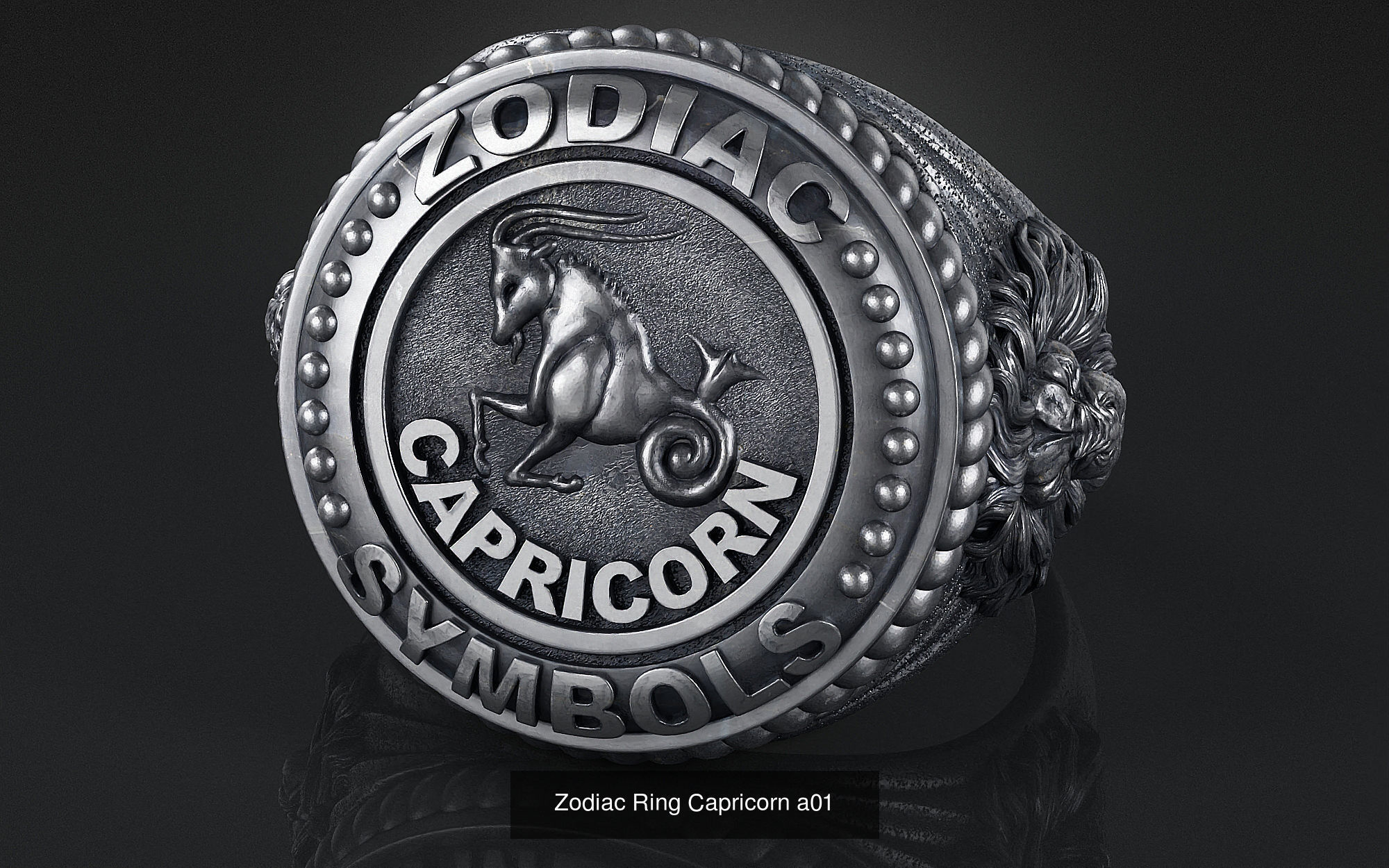 Zodiac Ring collection 12 _2