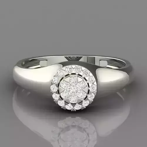 PRESSURE SETTING RING 05 3D print model