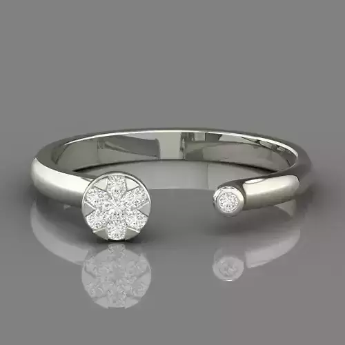 PRESSURE SETTING RING 08