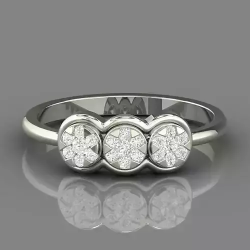 PRESSURE SETTING RING 09 3D print model