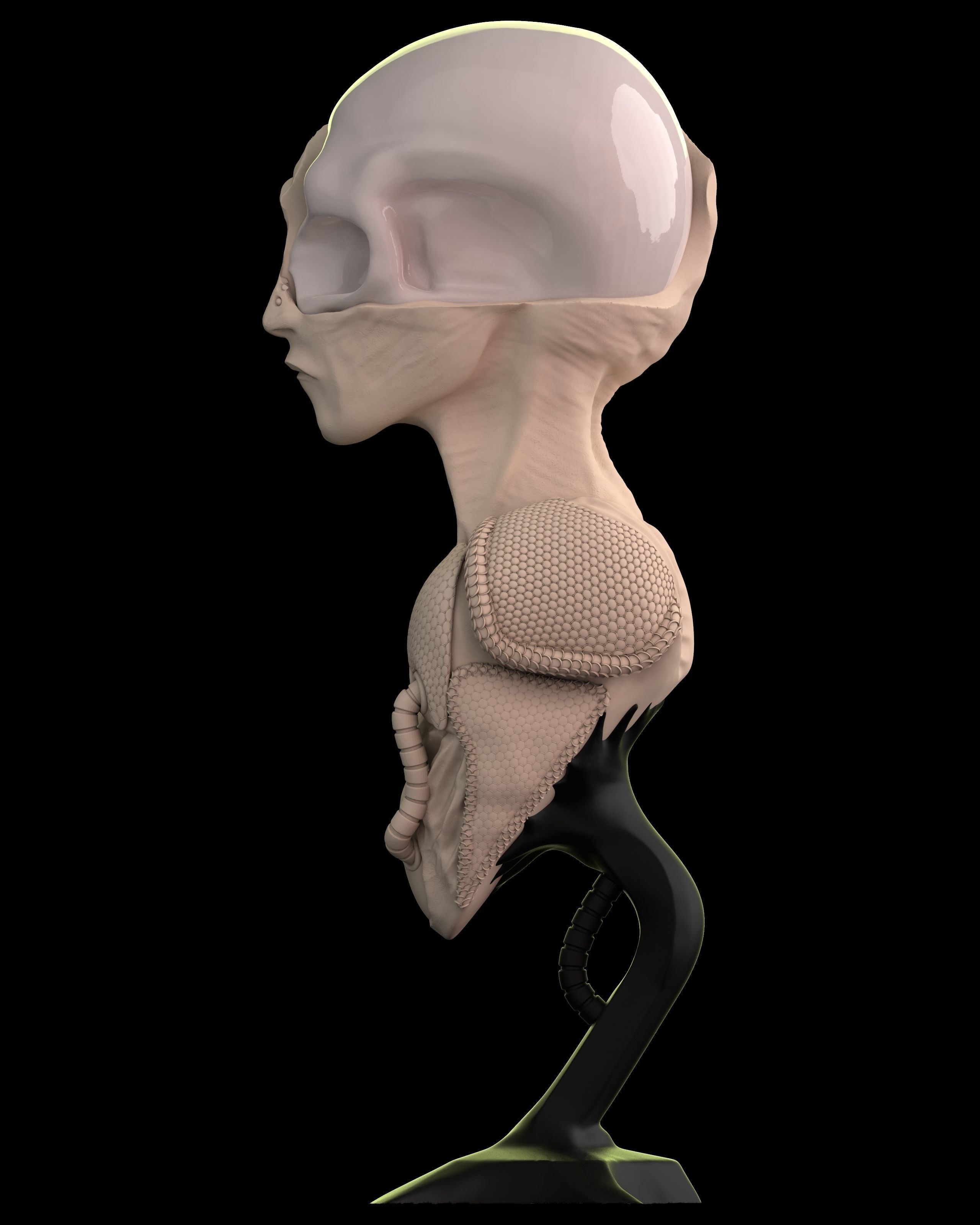 Bust of an Alien ready to print 3D print model_2
