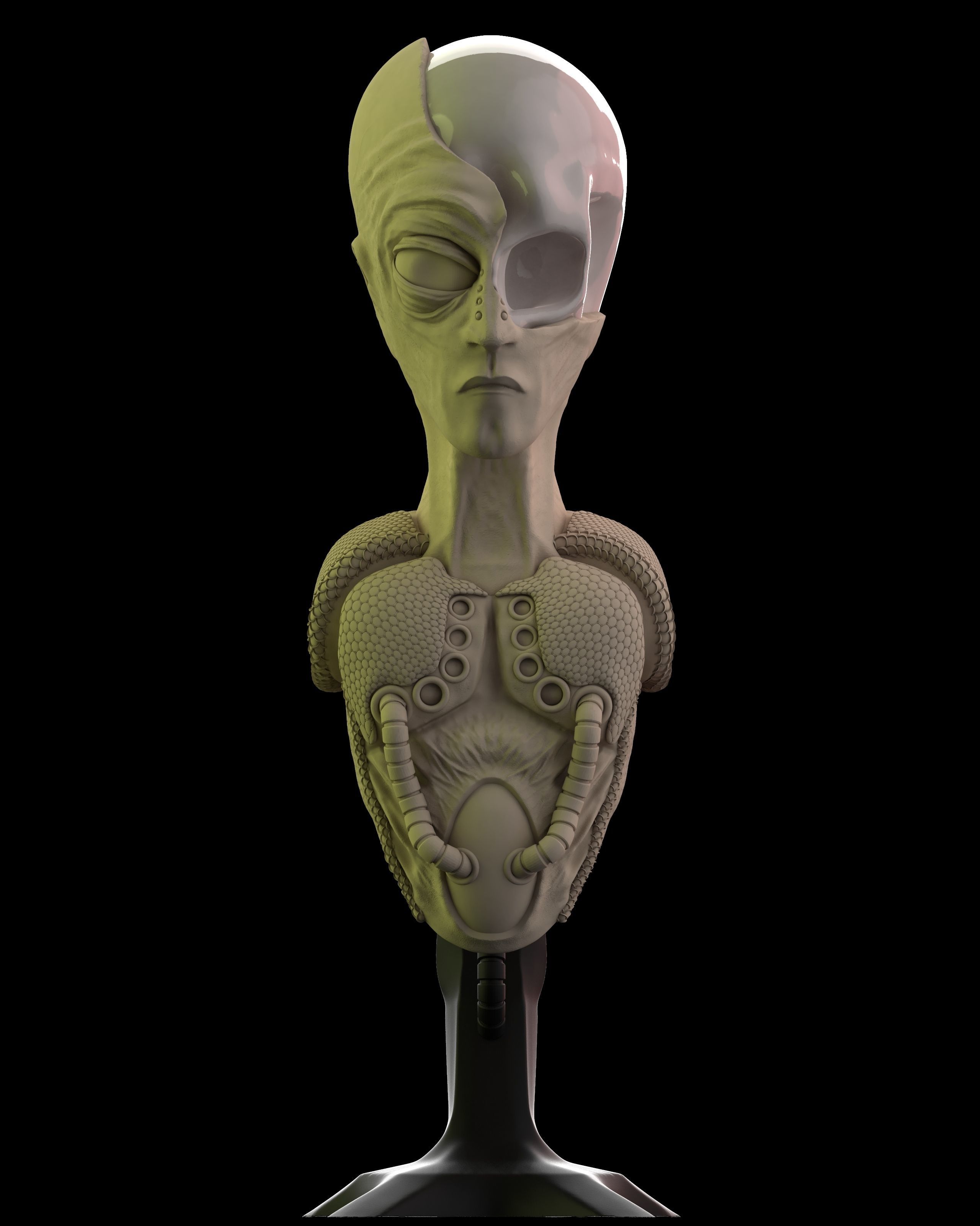 Bust of an Alien ready to print 3D print model_1