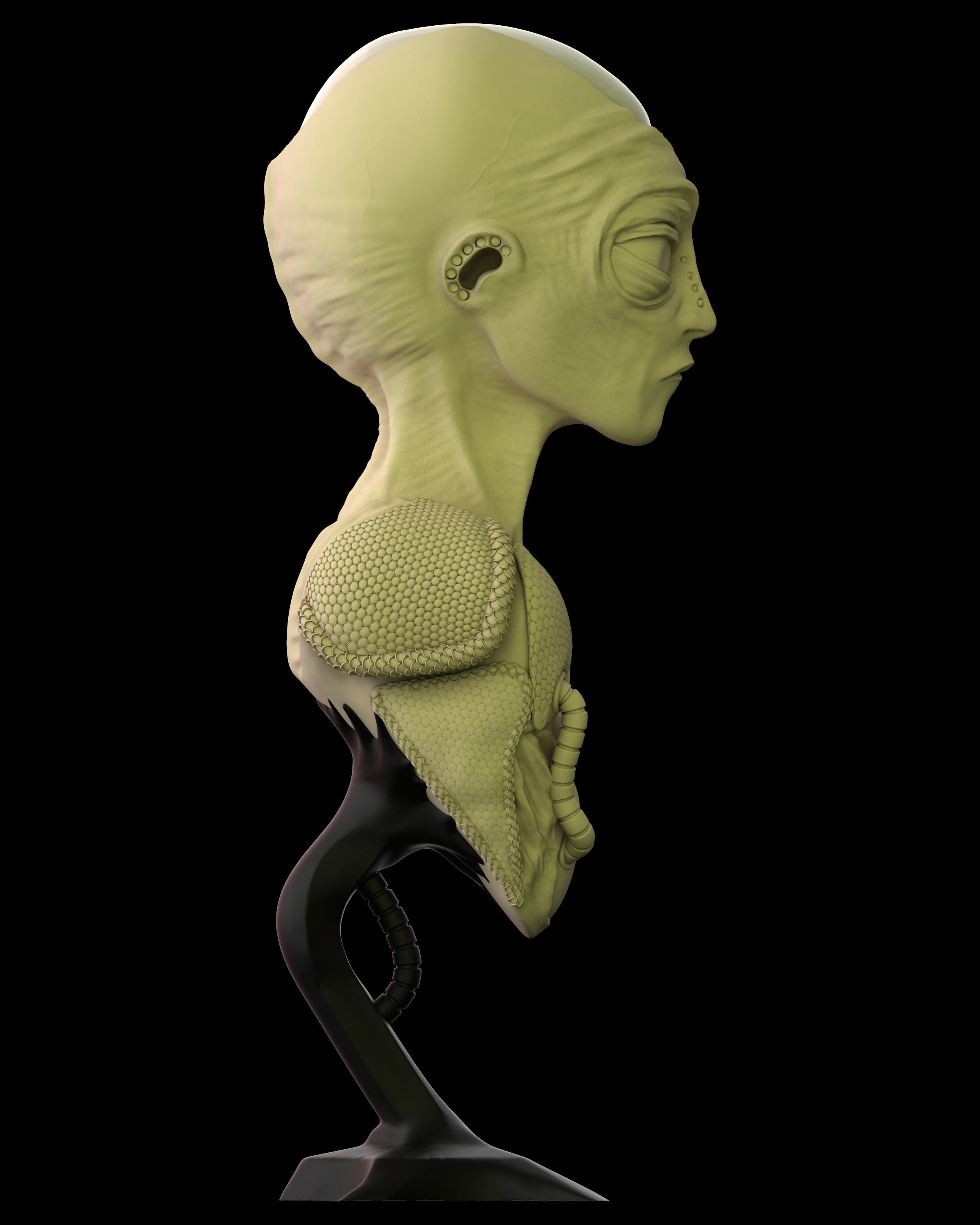 Bust of an Alien ready to print 3D print model_3