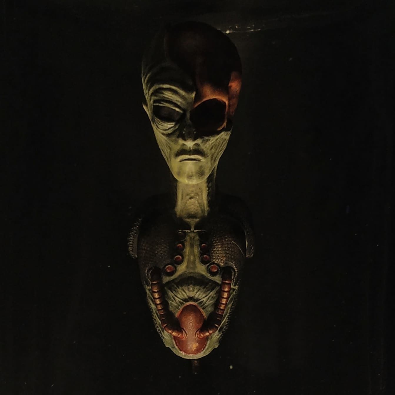 Bust of an Alien ready to print 3D print model_6