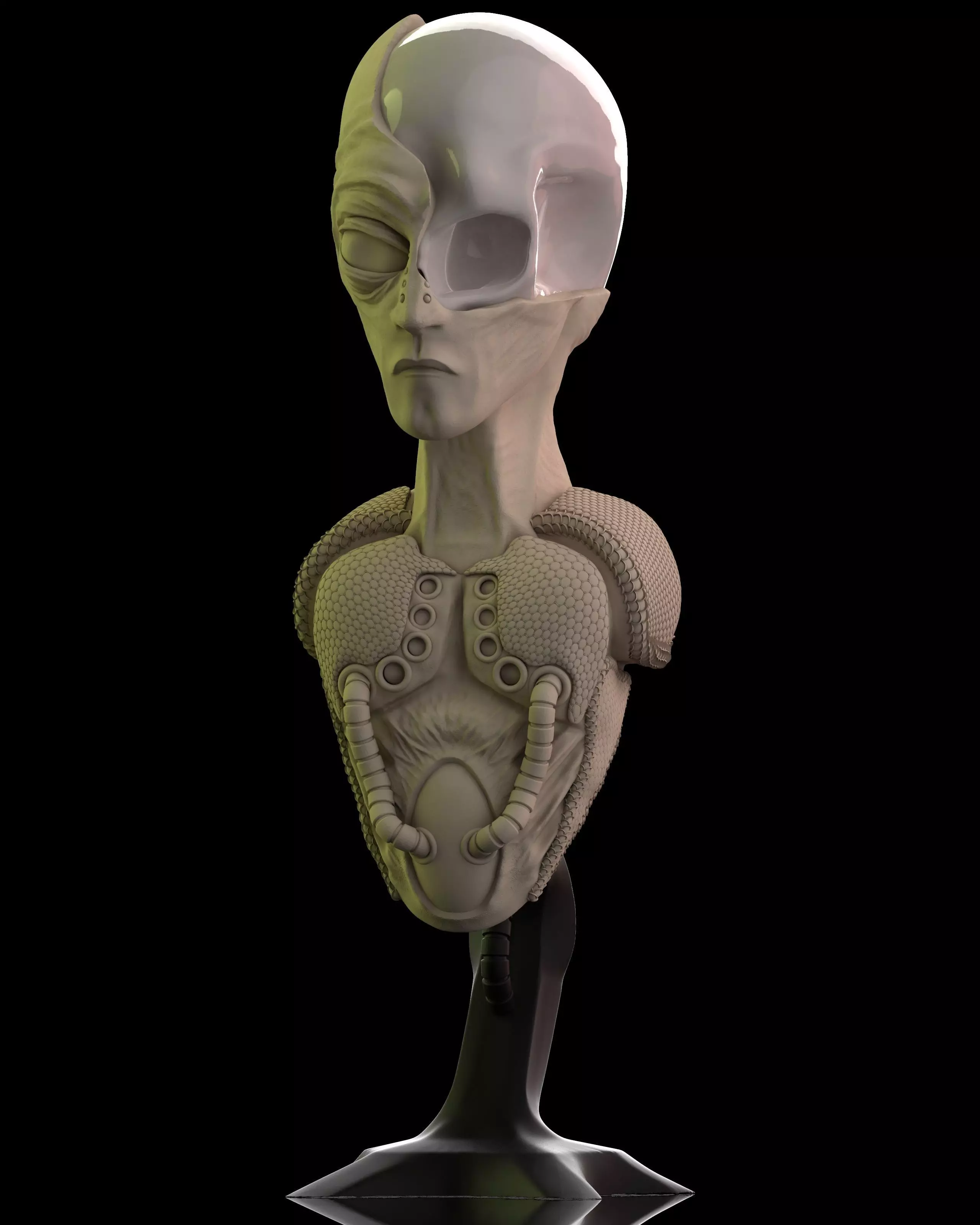 Bust of an Alien ready to print 3D print model_0