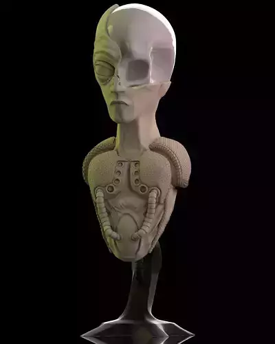 Bust of an Alien ready to print 3D print model