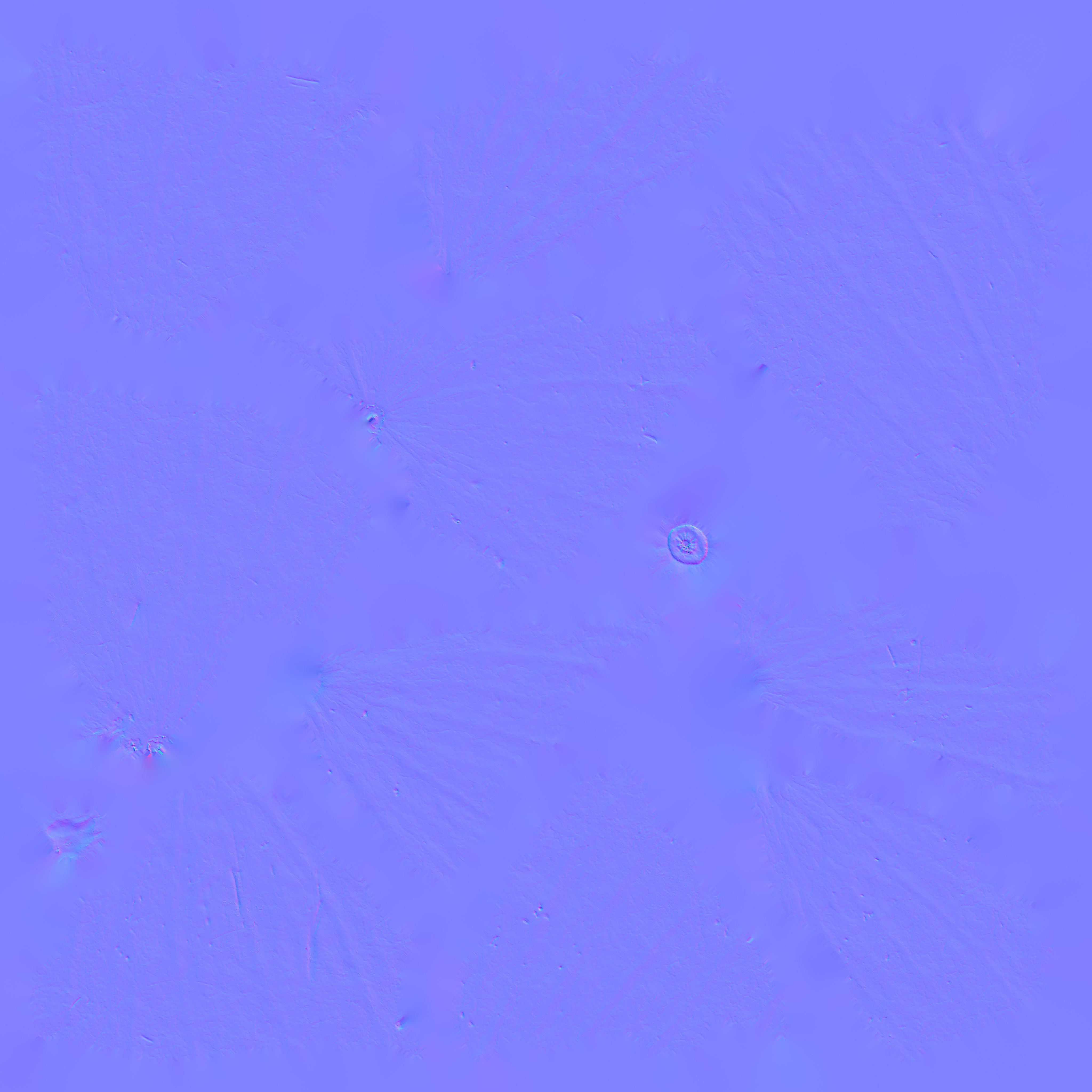 watermelon Low-poly 3D model_4