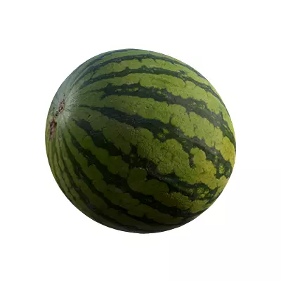 watermelon Low-poly 3D model_0