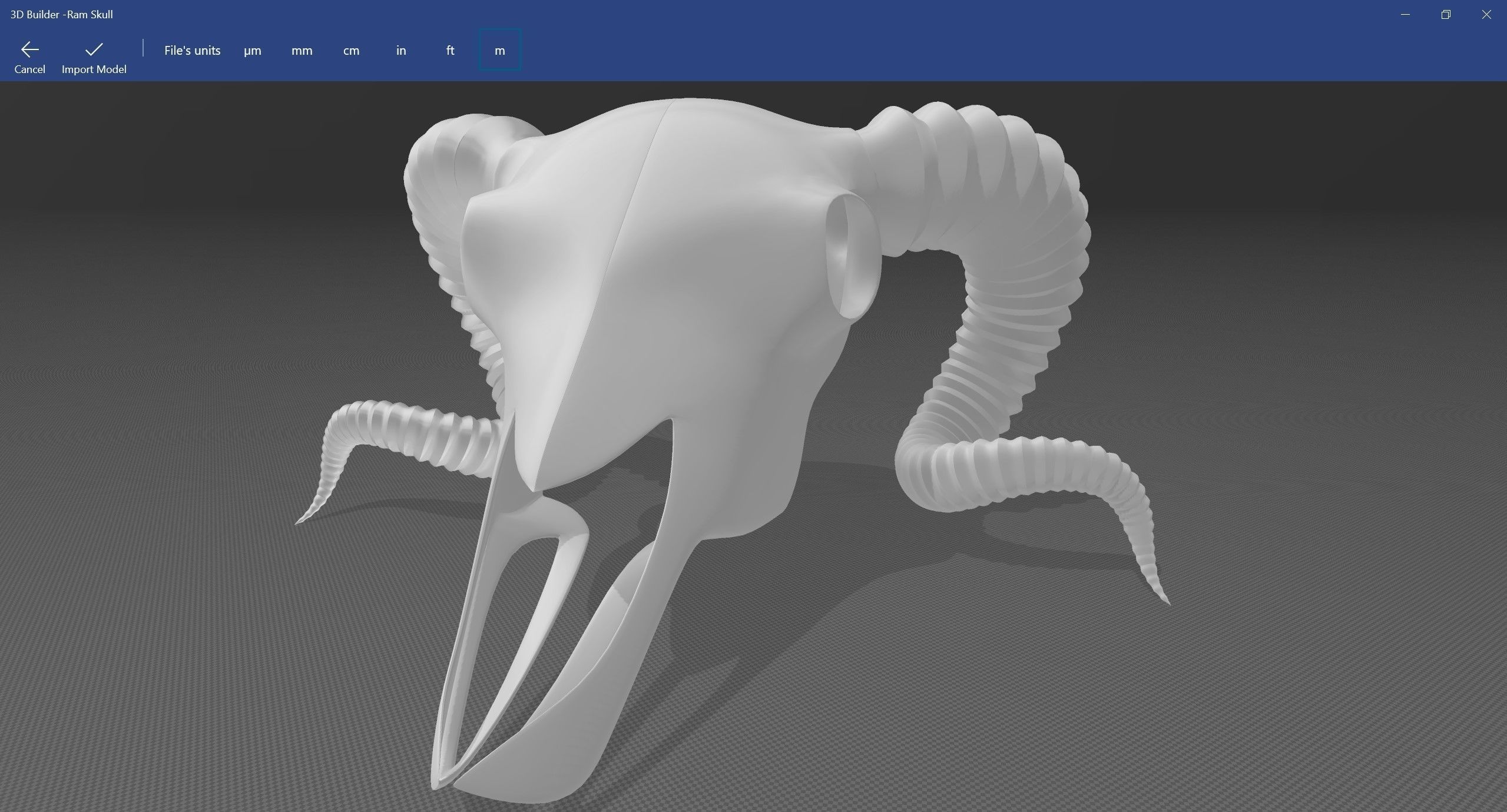 Ram Skull 3D model_20