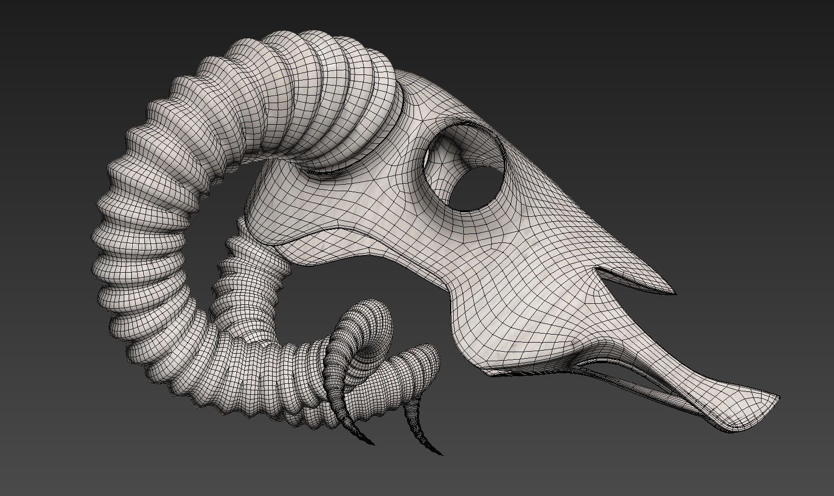 Ram Skull 3D model_4