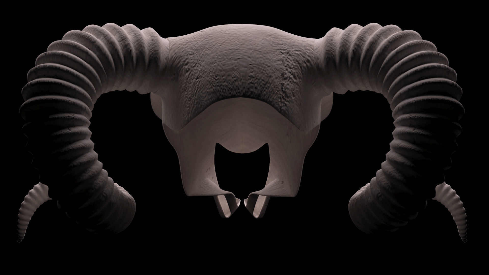 Ram Skull 3D model_15