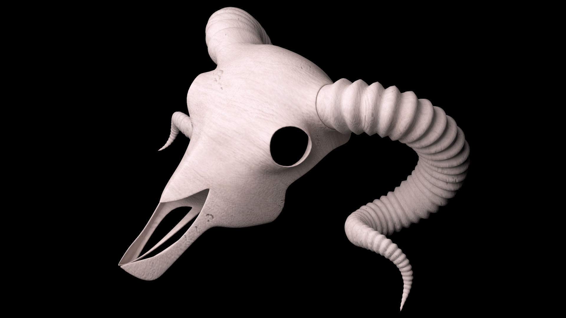 Ram Skull 3D model_7