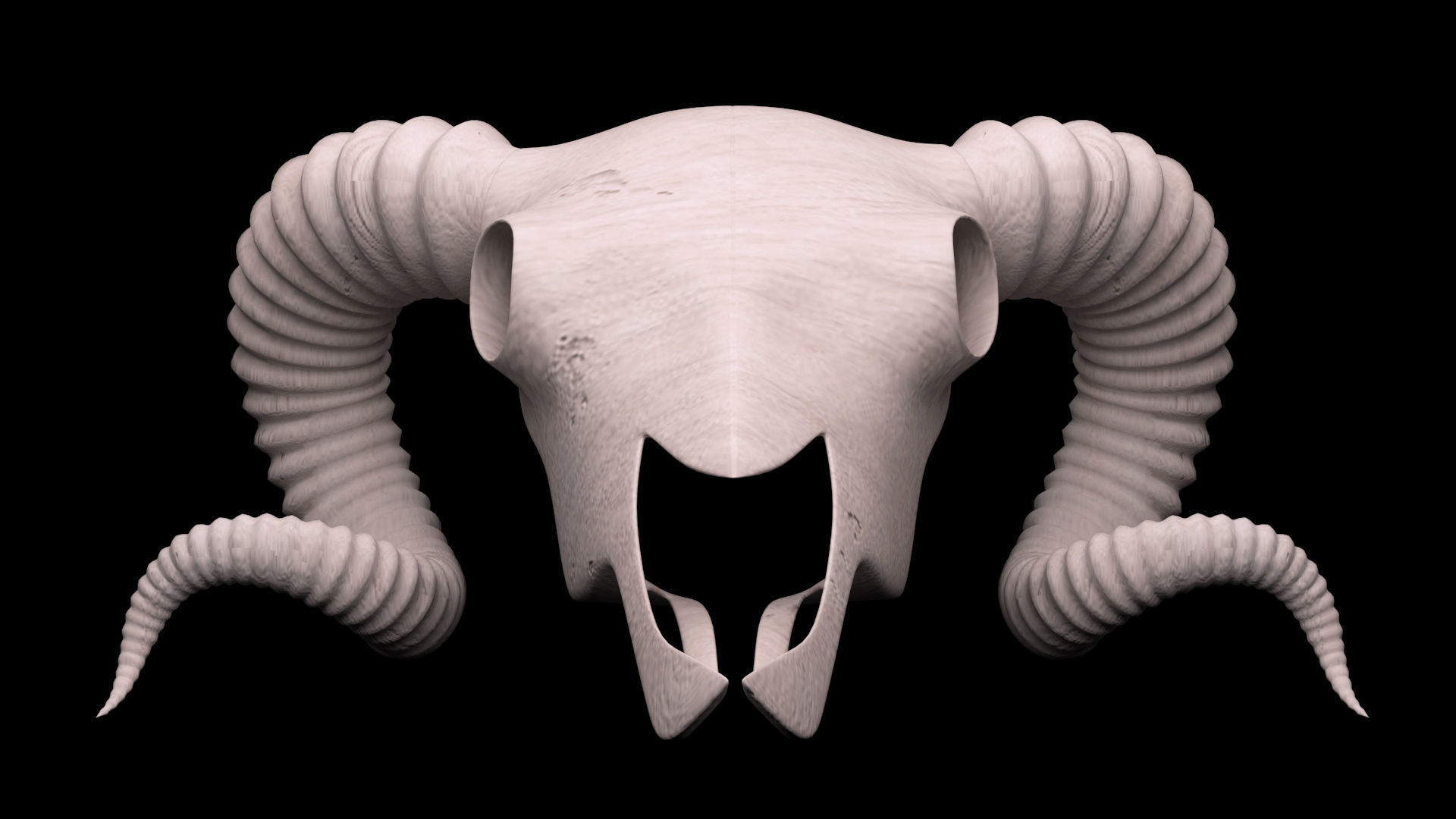 Ram Skull 3D model_5