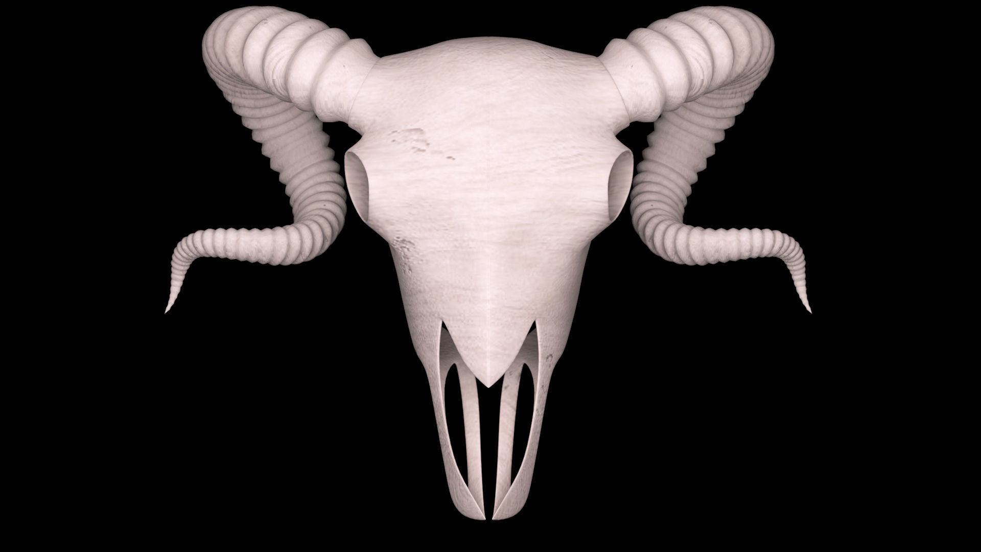 Ram Skull 3D model_9