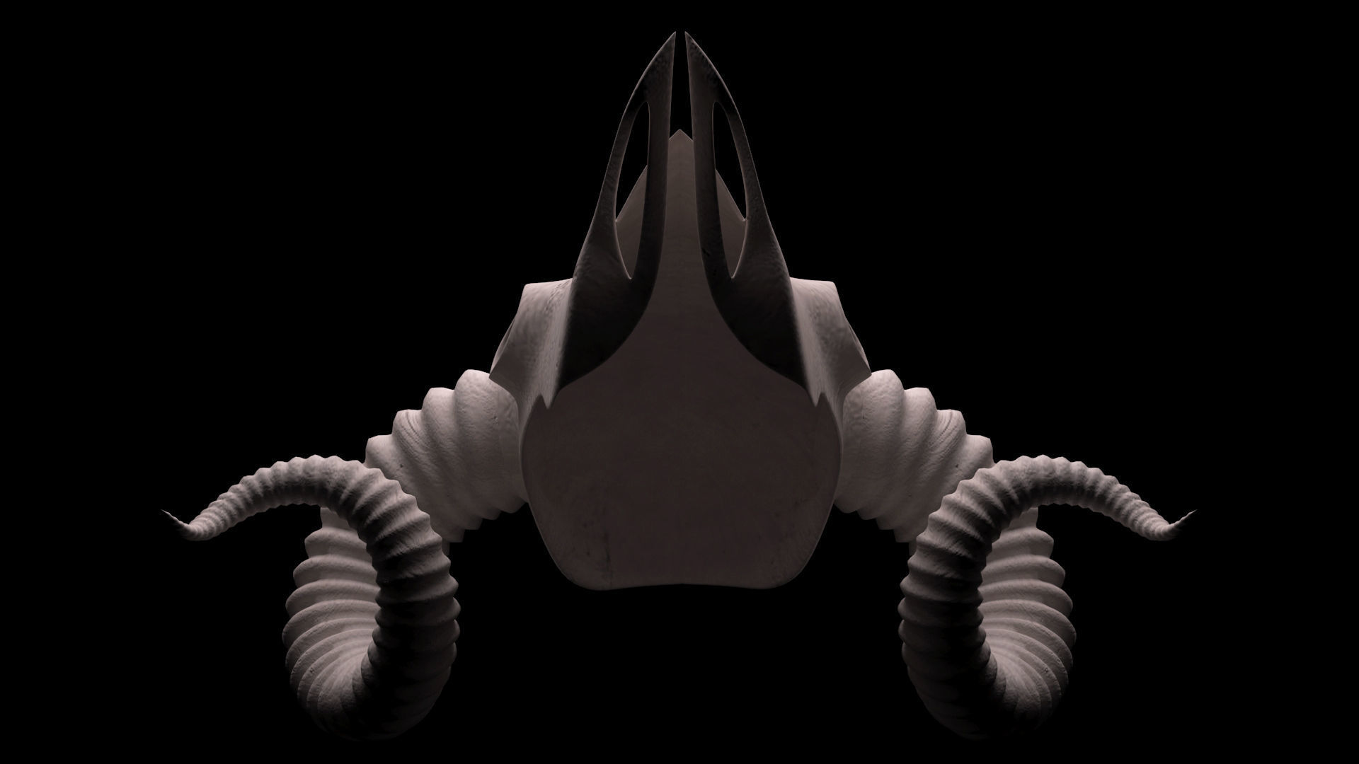 Ram Skull 3D model_13