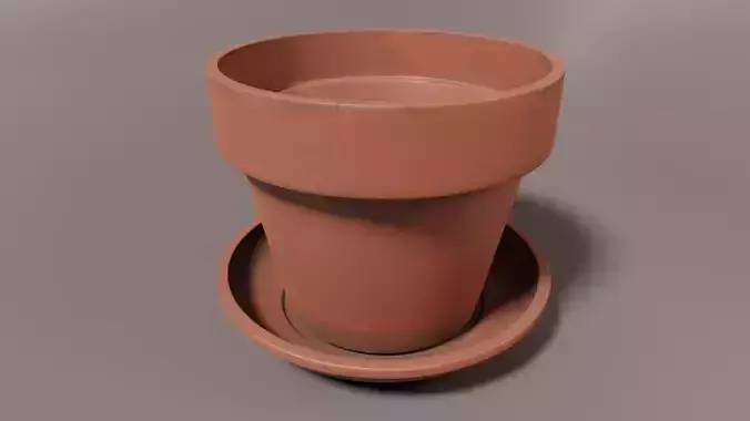Ceramic Plant Pot