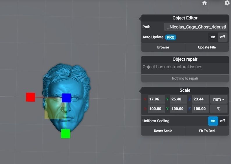 Nicolas Cage Ghost Rider Movie - Headsculpt for Action Figures 3D print model_2