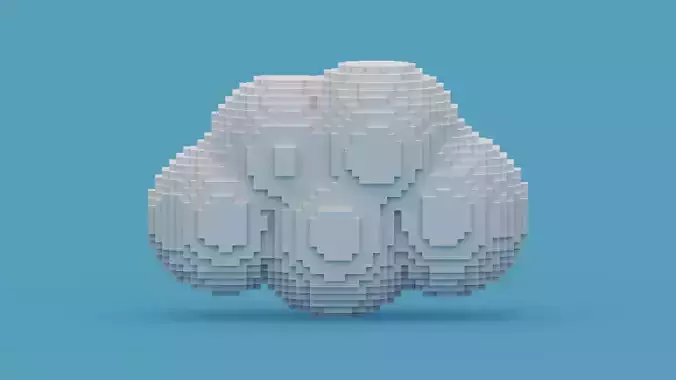 Voxel Cloud