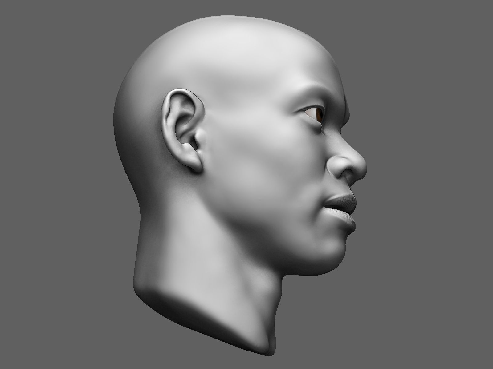 African male head sculpt 3D model_9