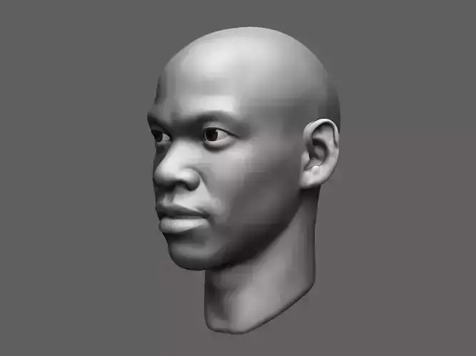 African male head sculpt 3D model