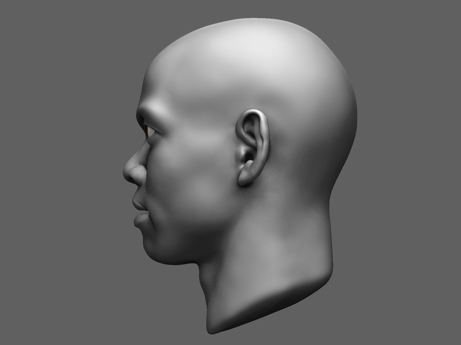 African male head sculpt 3D model_5