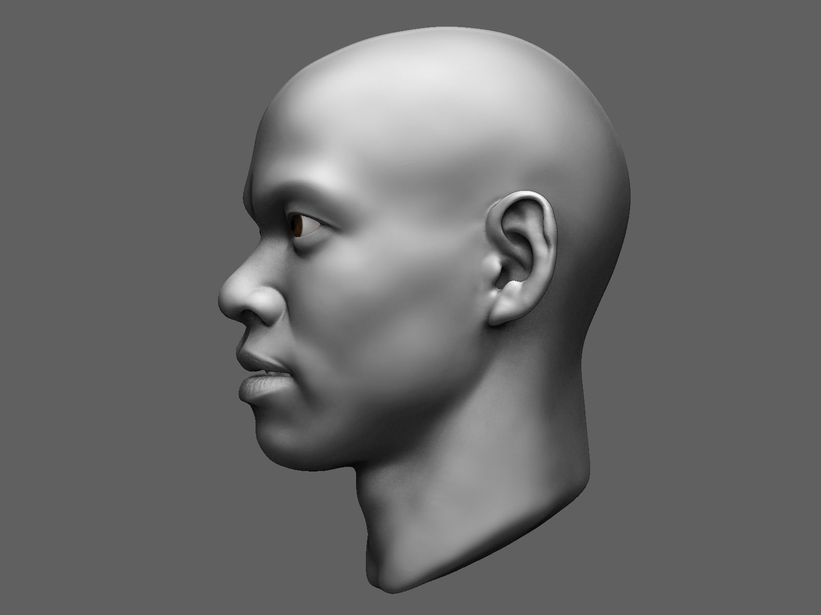 African male head sculpt 3D model_4