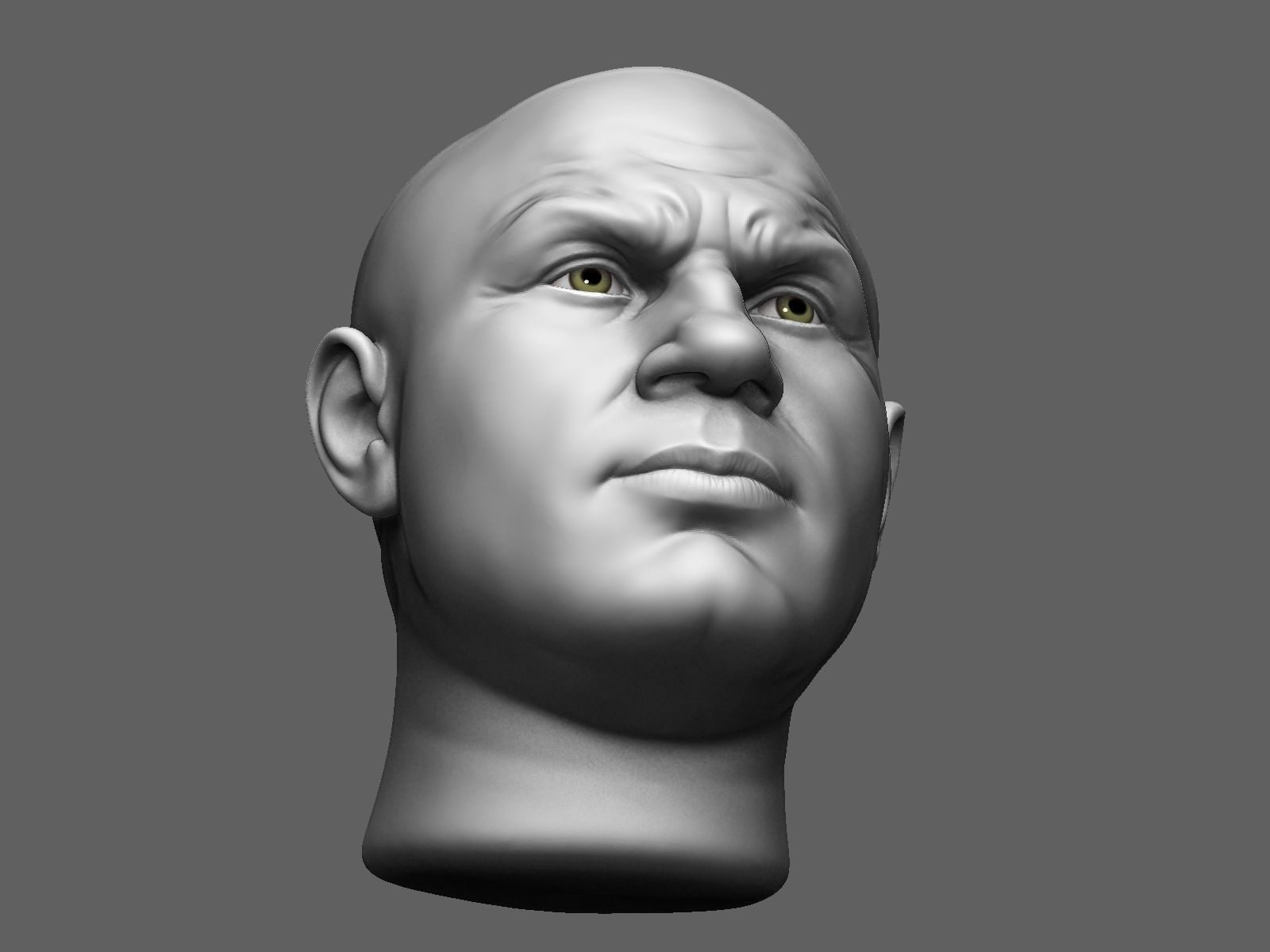 European male head sculpt 2 3D model_12